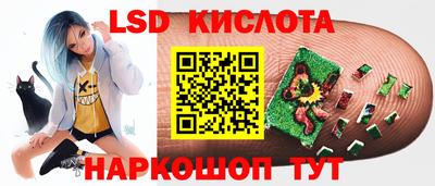 стаф Кинель