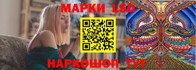 стаф Кинель