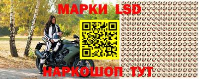 стаф Кинель