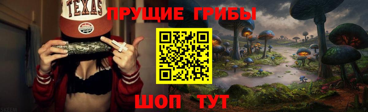 Галлюциногенные грибы мухоморы  Вход с VPN  купить закладку  Кольчугино 